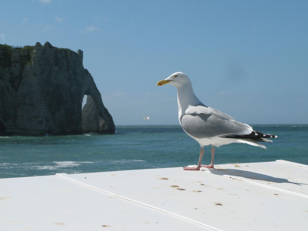 Holiday home La Flore *