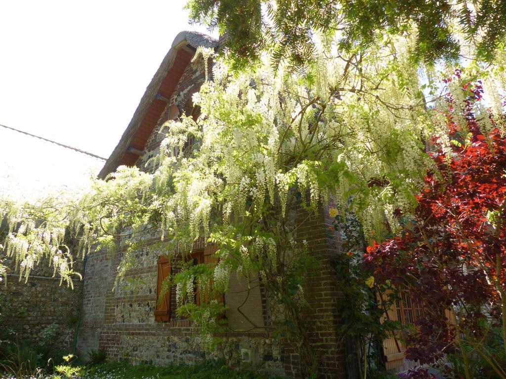 La Flore * Saint-Jouin-Bruneval